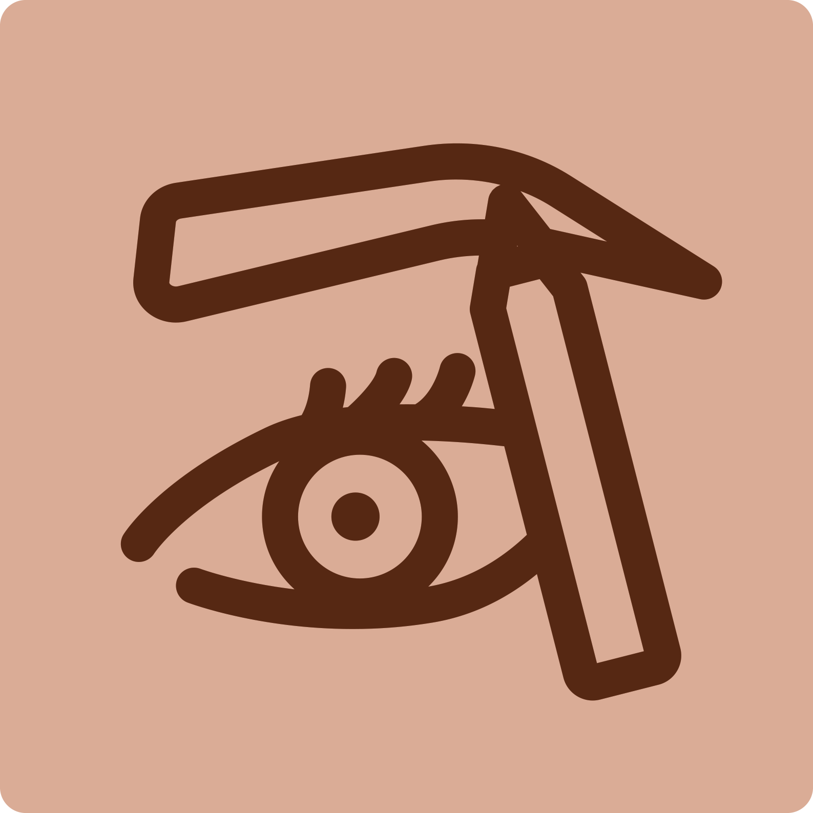 Brows
